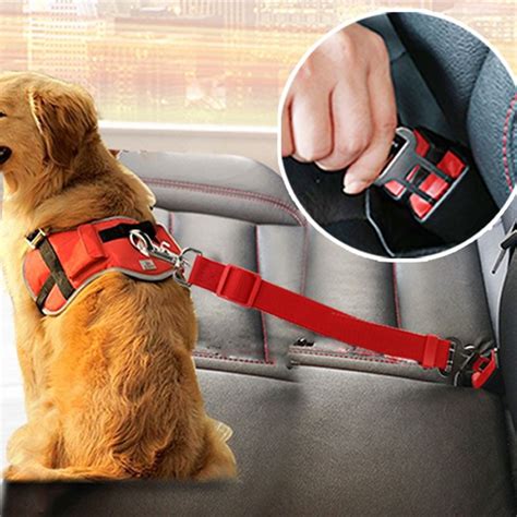 seat belt safety leash